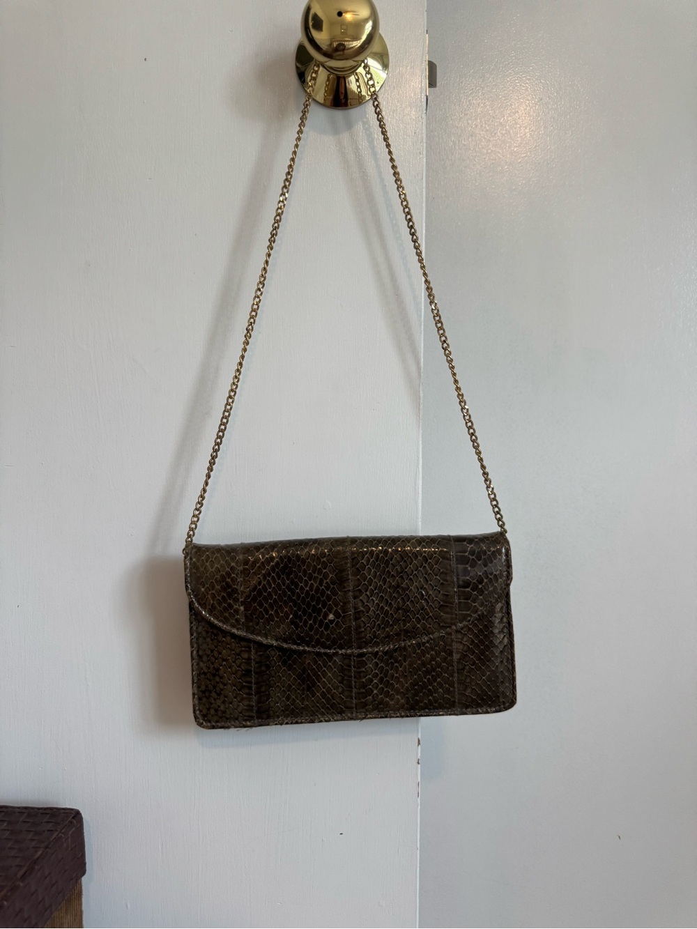 Classic Snake-Embossed Chain Shoulder Bag in Dark Brown